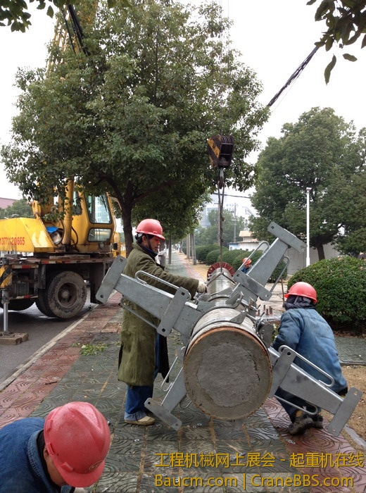 nEO_IMG_毛毛 462.jpg