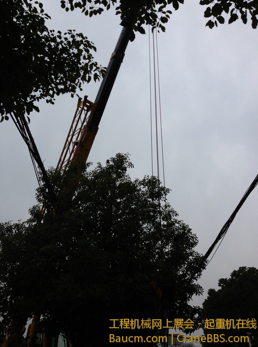 nEO_IMG_毛毛 463.jpg