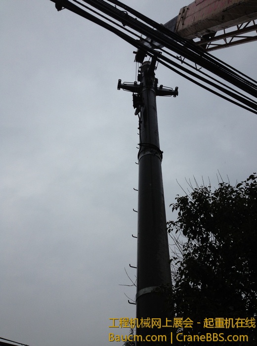 nEO_IMG_毛毛 464.jpg