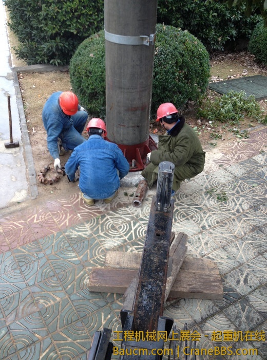 nEO_IMG_毛毛 465.jpg