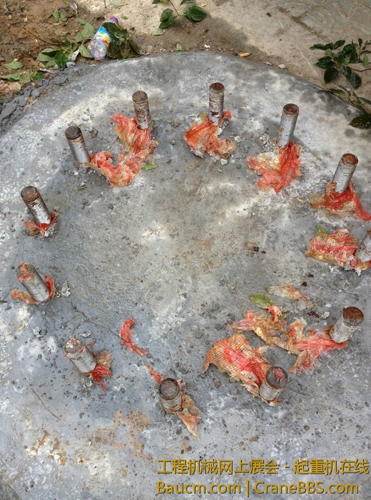 nEO_IMG_毛毛 458.jpg