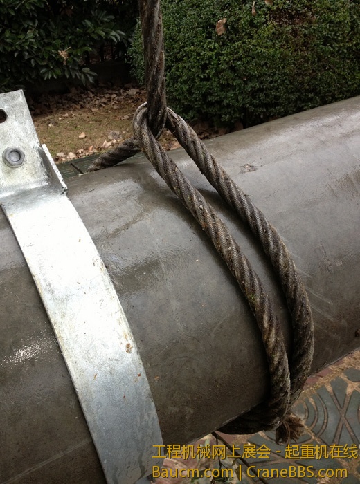 nEO_IMG_毛毛 459.jpg