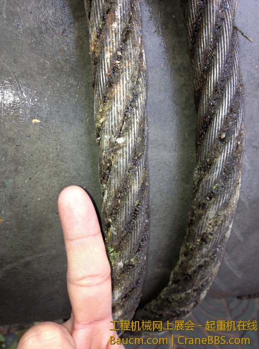 nEO_IMG_毛毛 460.jpg