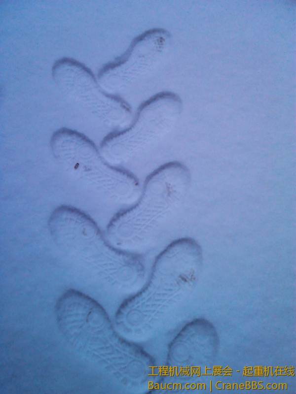 YP20121226171250.jpeg