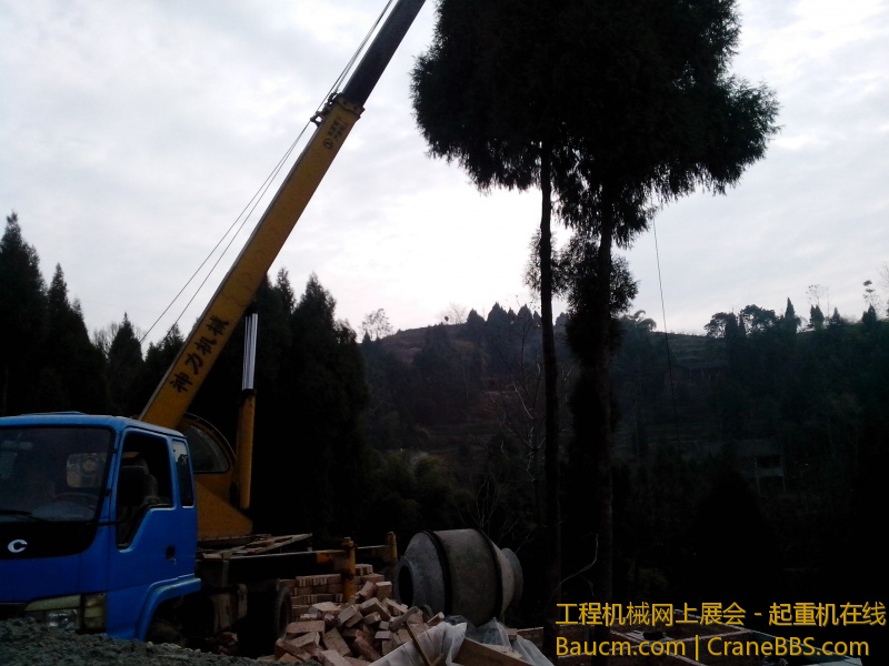 IMG_20130217_101302.jpg