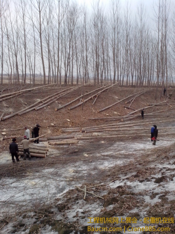 IMG_20130217_092055.jpg