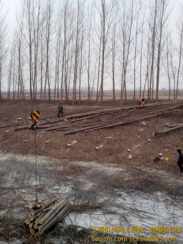 IMG_20130217_092110.jpg
