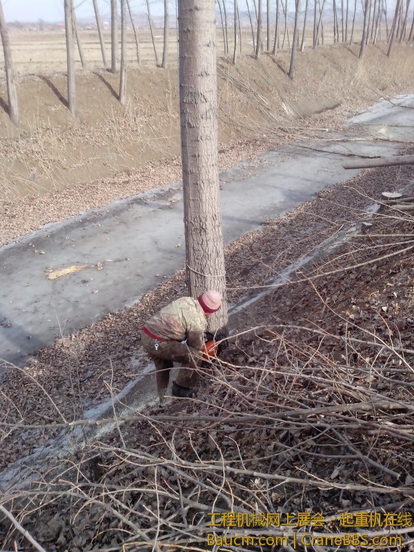 IMG_20130218_140755.jpg