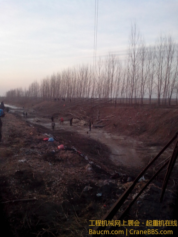 IMG_20130218_171219.jpg