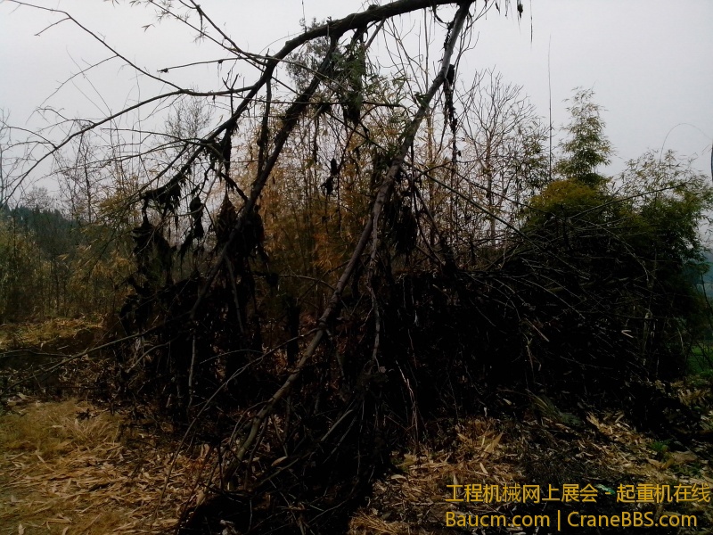 IMG_20130220_094444.jpg