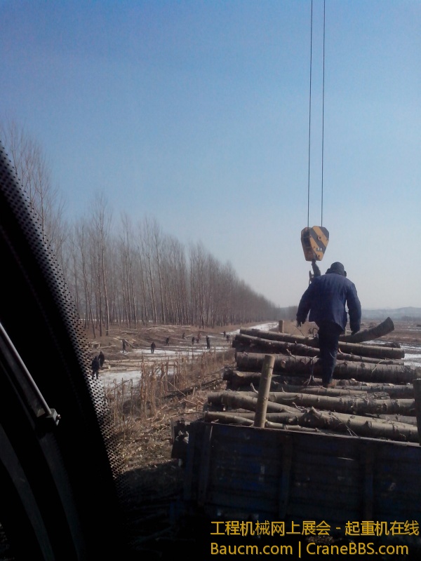 IMG_20130221_122246.jpg