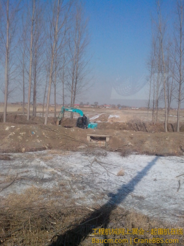 IMG_20130221_125902.jpg