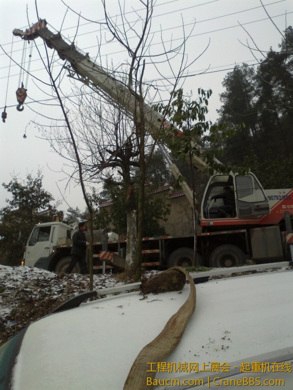 20130209103.jpg