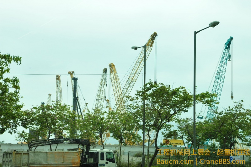 CUI_2979.JPG