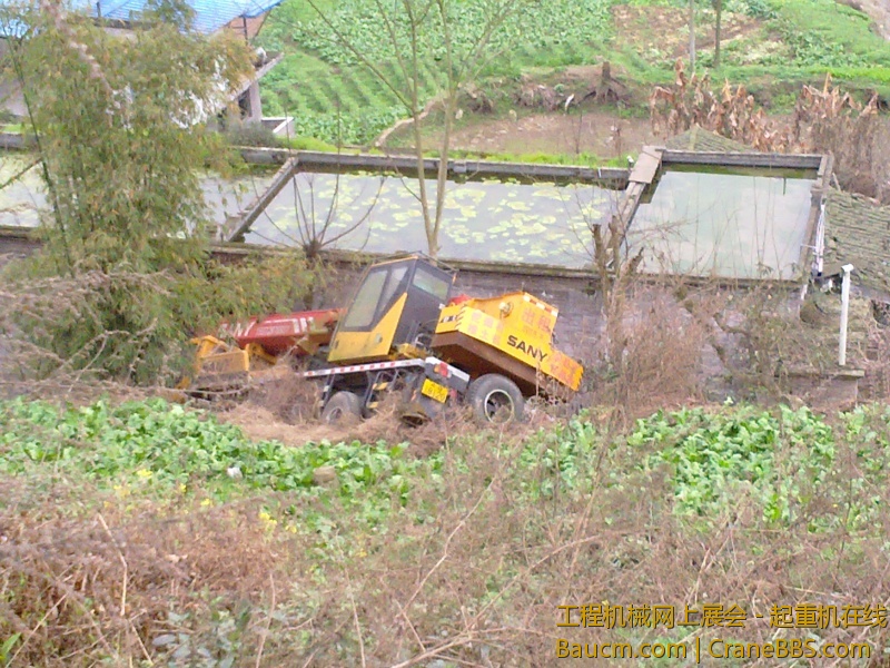 20130211494.jpg