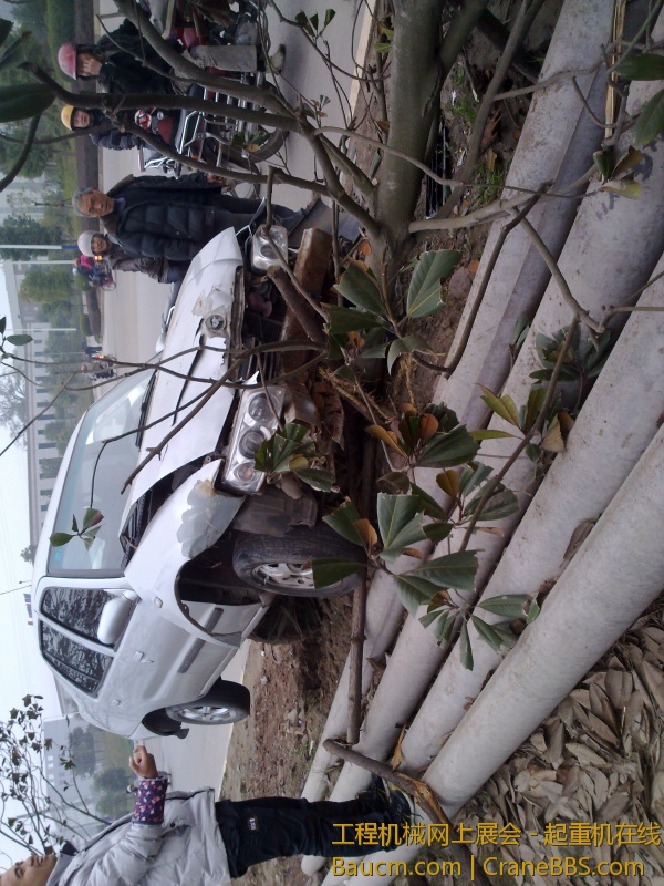20130224497.jpg