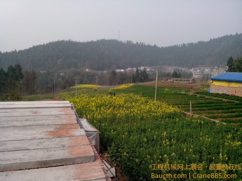 IMG_20130227_102640.jpg