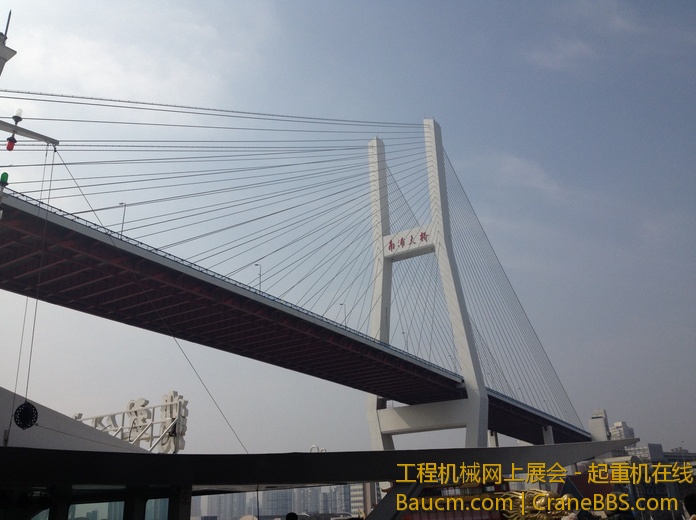 nEO_IMG_毛毛 240.jpg