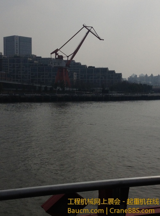 nEO_IMG_毛毛 244.jpg