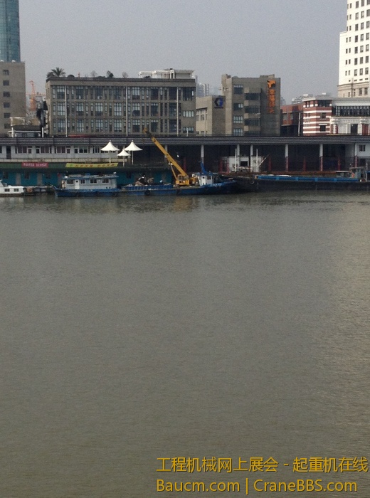 nEO_IMG_毛毛 256.jpg