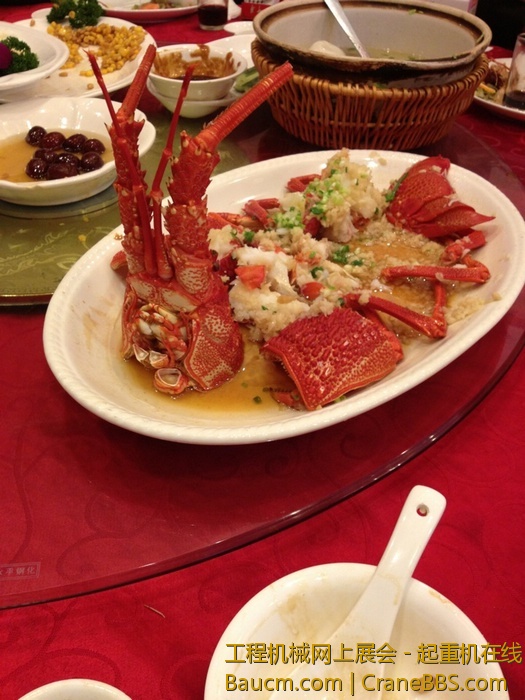 nEO_IMG_毛毛 443.jpg