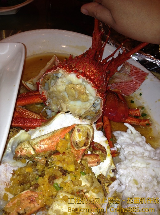 nEO_IMG_毛毛 444.jpg