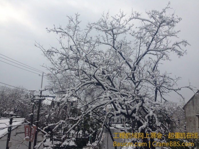 nEO_IMG_毛毛 468.jpg