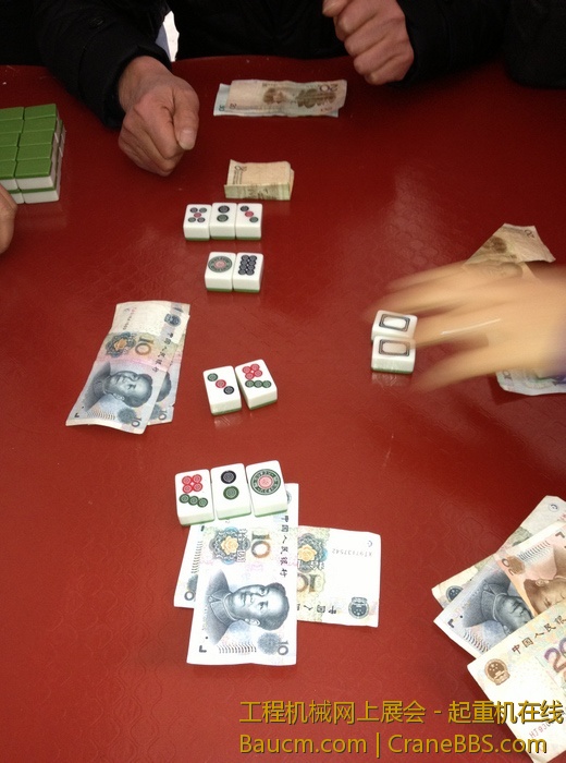 nEO_IMG_毛毛 430.jpg