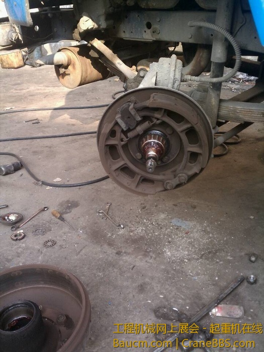 nEO_IMG_毛毛 541.jpg