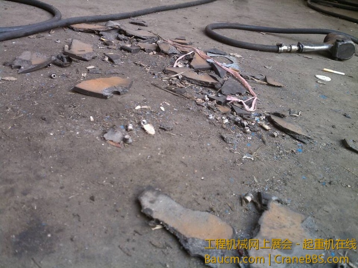 nEO_IMG_毛毛 542.jpg