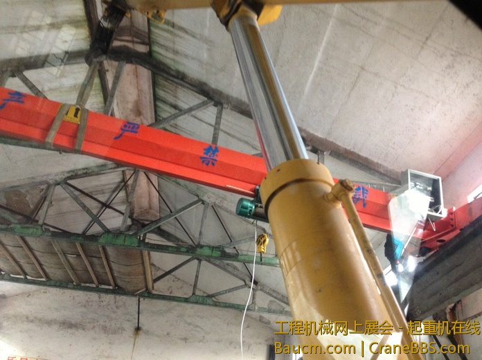 nEO_IMG_毛毛 493.jpg