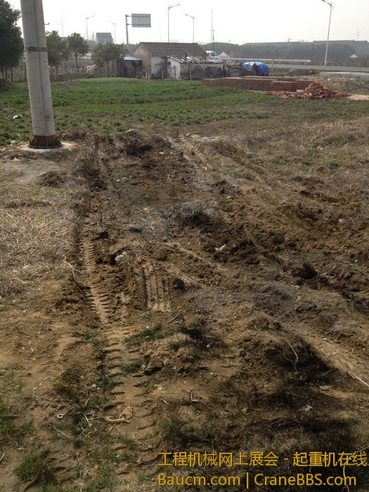 nEO_IMG_毛毛 575.jpg