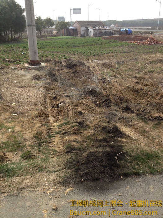 nEO_IMG_毛毛 576.jpg