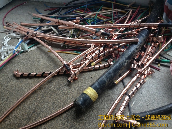 nEO_IMG_毛毛 619.jpg