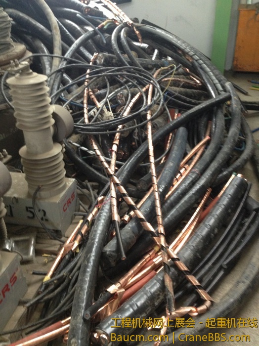 nEO_IMG_毛毛 620.jpg