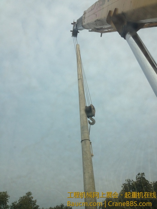 nEO_IMG_毛毛 580.jpg