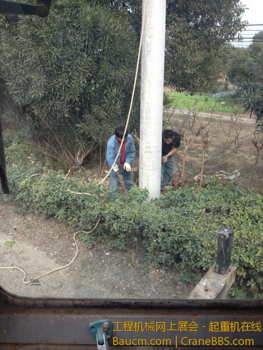 nEO_IMG_毛毛 581.jpg