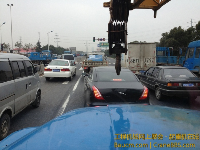 nEO_IMG_毛毛 632.jpg