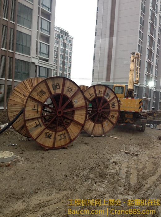 nEO_IMG_毛毛 625.jpg