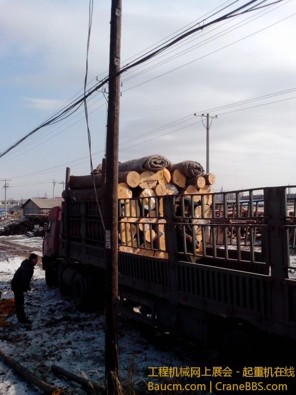 IMG_20130301_094303.jpg