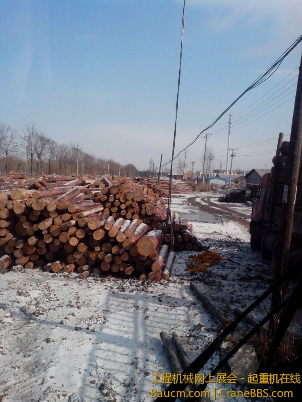 IMG_20130301_094245.jpg