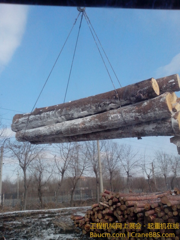 IMG_20130301_094101.jpg