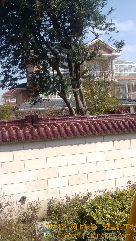 IMG_20130302_111710.jpg