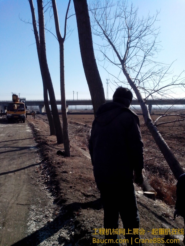 IMG_20130304_091516.jpg