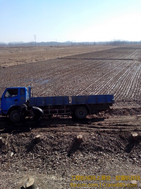 IMG_20130304_134653.jpg