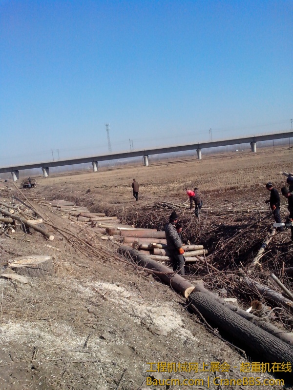 IMG_20130304_143910.jpg