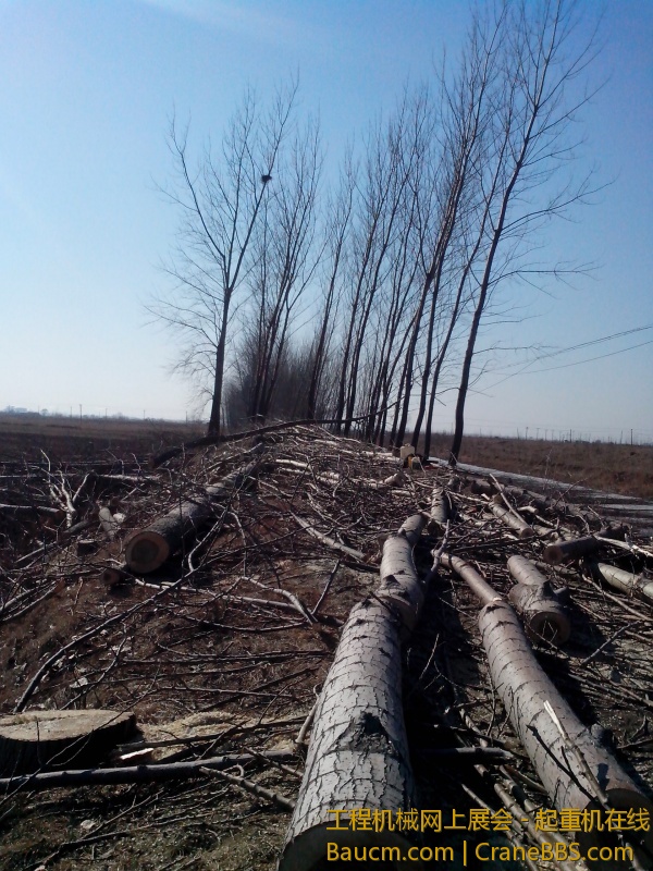 IMG_20130304_143922.jpg