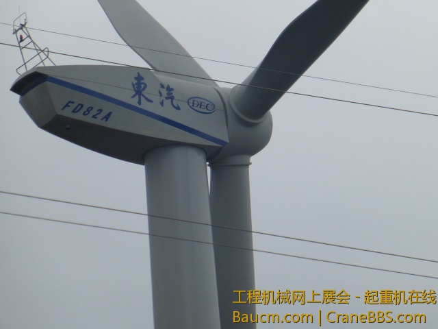P1010311.JPG