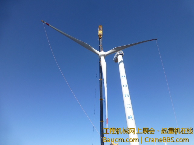 P1010340.JPG