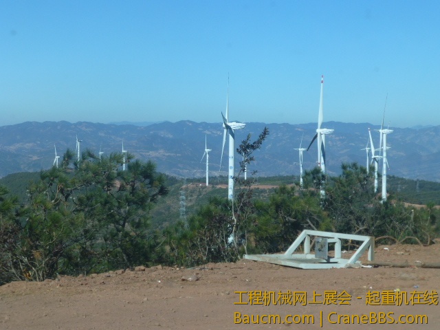 P1010343.JPG
